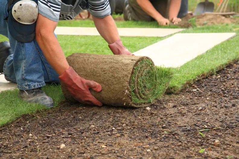 How Long After Installing Sod Can You Walk On It Toms River, NJ