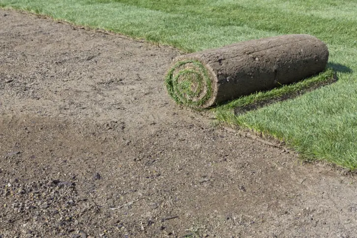 How Long After Installing Sod Can You Walk On It in Toms River, NJ