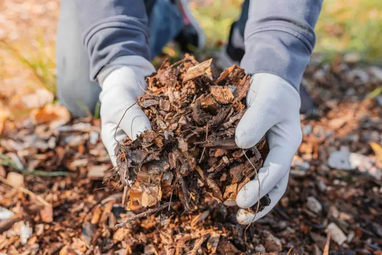 How Long Does Mulch Last in Toms River, NJ