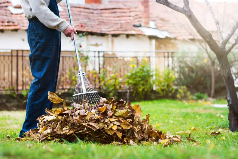 How To Clean A Backyard in Toms River, NJ