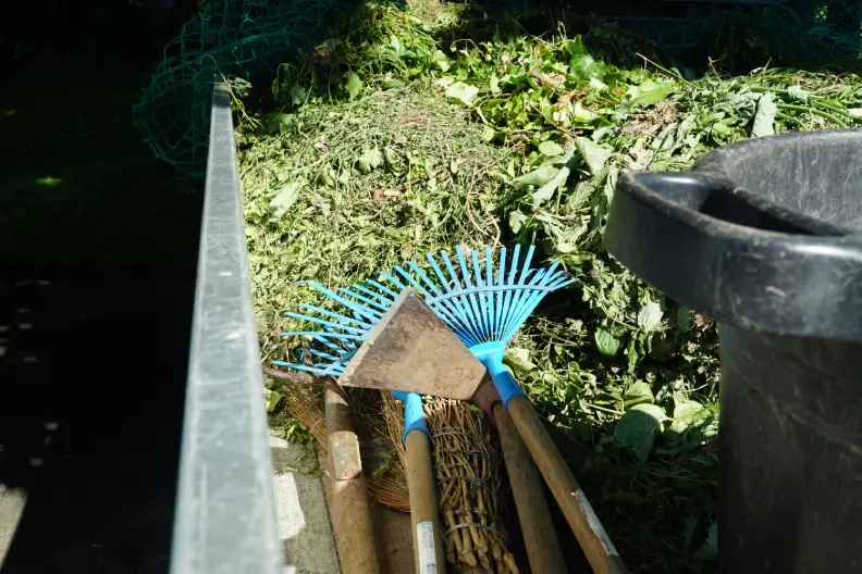 How to Clear a Yard Full of Weeds Toms River, NJ