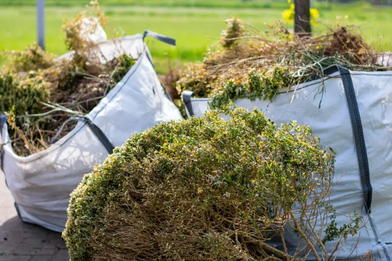 How to Clear a Yard Full of Weeds in Toms River, NJ