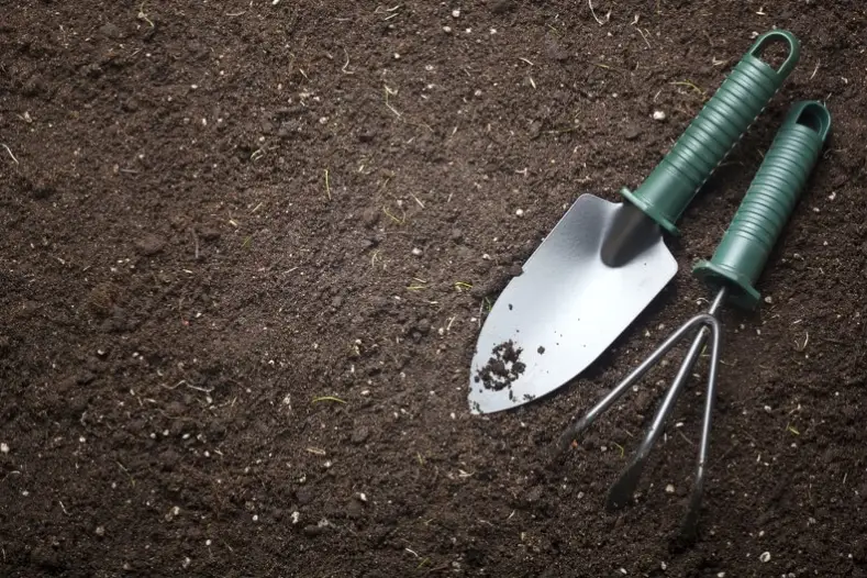 Mulching Toms River, NJ