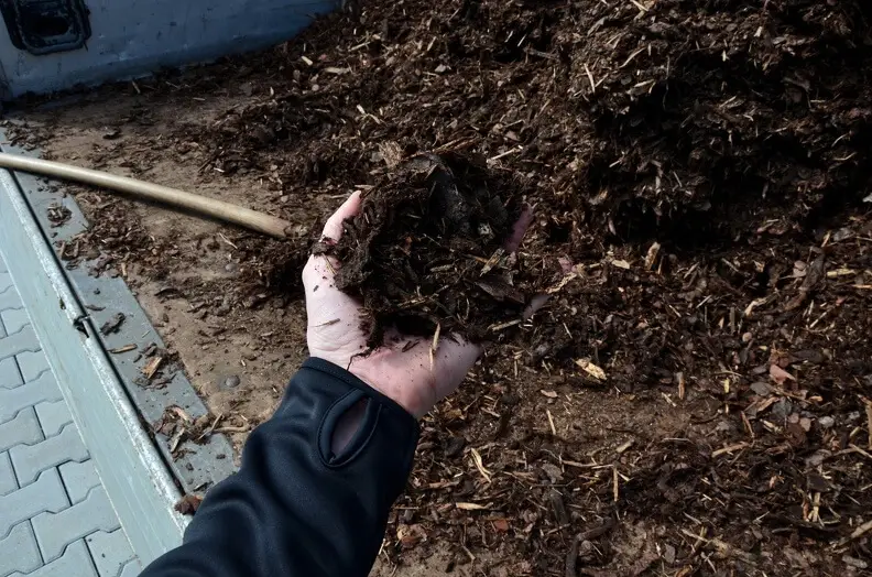 Mulching in Toms River, NJ