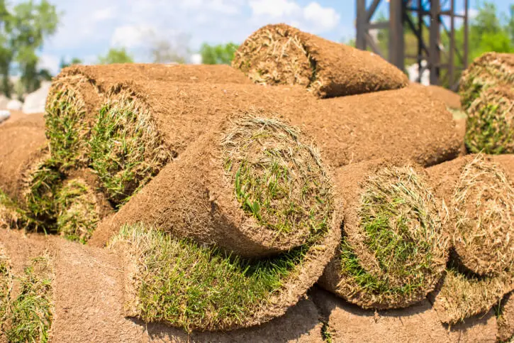 Sod Installation in Toms River, NJ - Landscaper