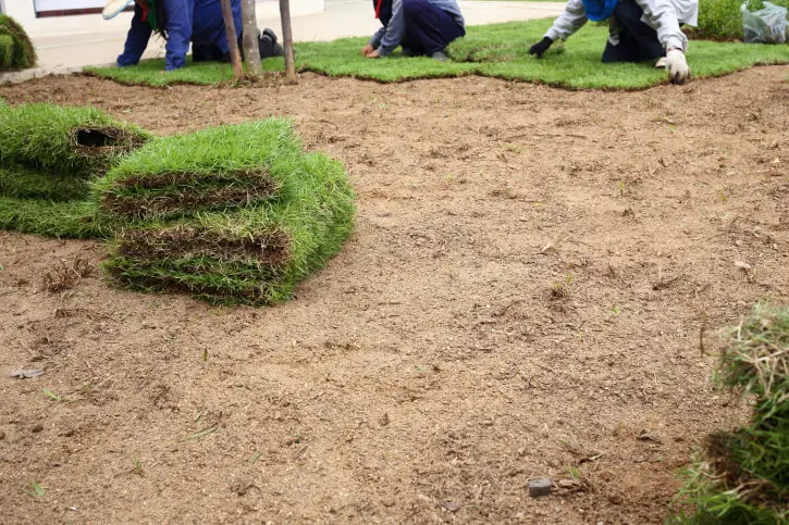 Sod Installation in Toms River, NJ