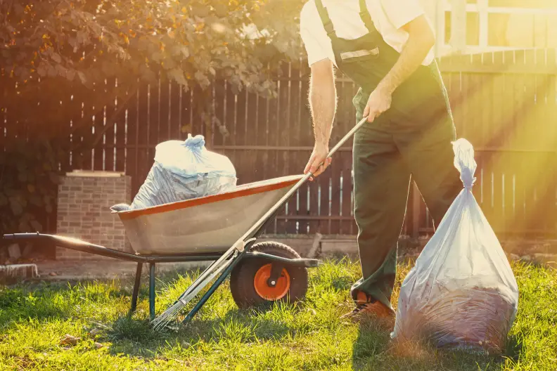 Yard Cleanup Toms River, NJ