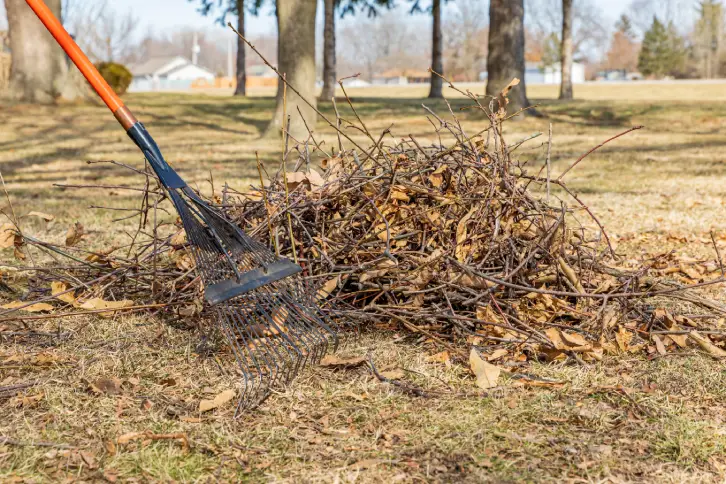 Yard Cleanup in Toms River, NJ - Landscaper