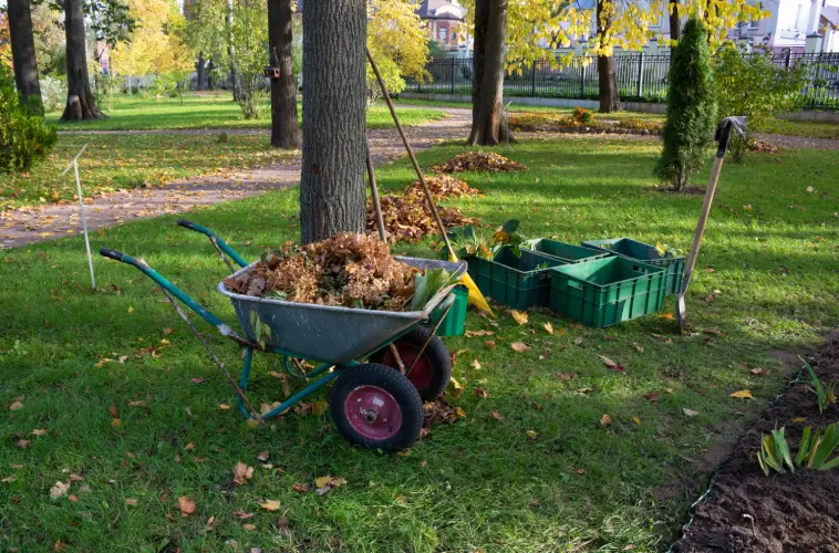 Yard Cleanup in Toms River, NJ